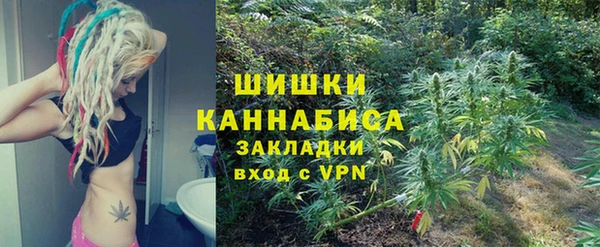 трава Арсеньев