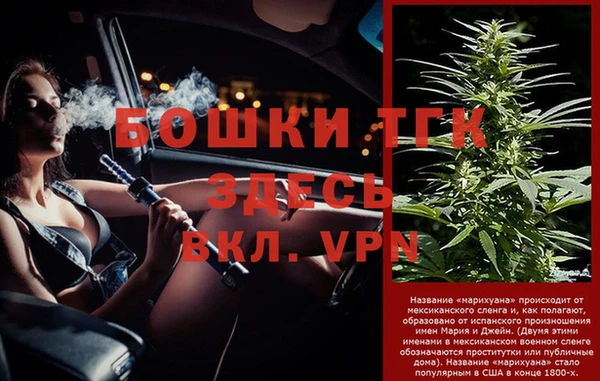 трава Арсеньев