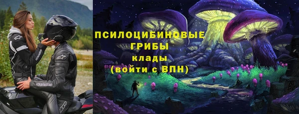 трава Арсеньев