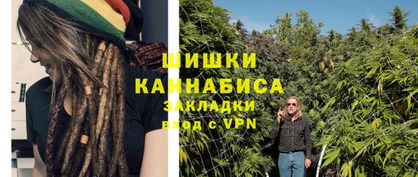 трава Арсеньев