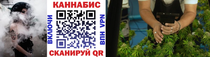 Бошки марихуана SATIVA & INDICA  купить  сайты  Белово 